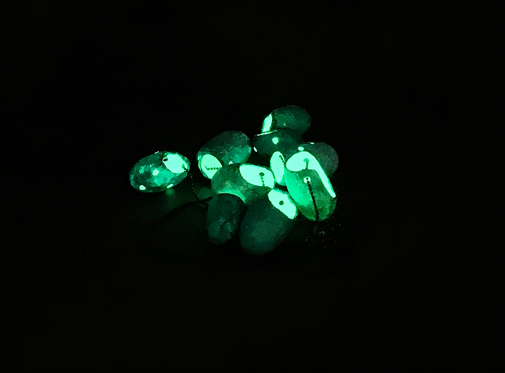 "Grünes Nachtlicht 9" necklace Necklace with 9 threaded silk cocoons, painted night luminescent pigment, the coccons are shining in the dark